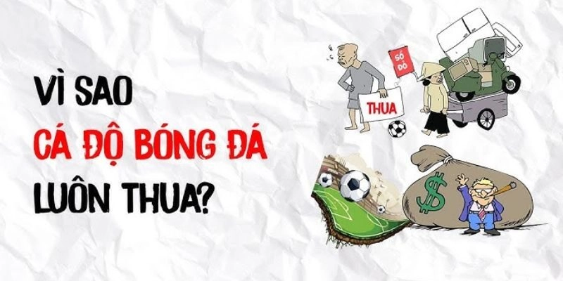 Giải đáp tại sao cá độ bóng đá lại thua, khó giành chiến thắng?