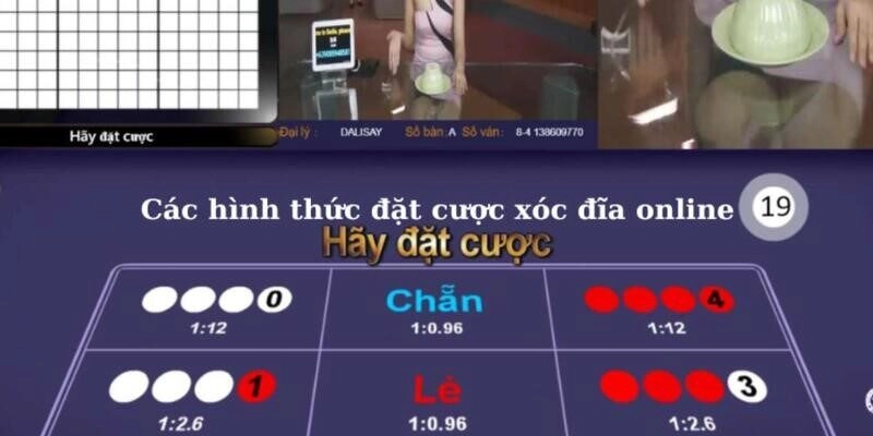 Tại sao chơi xóc đĩa online toàn thua được giải thích kỹ